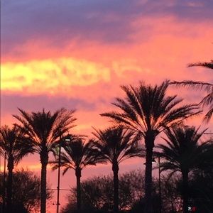 Meet your Posher, Mia